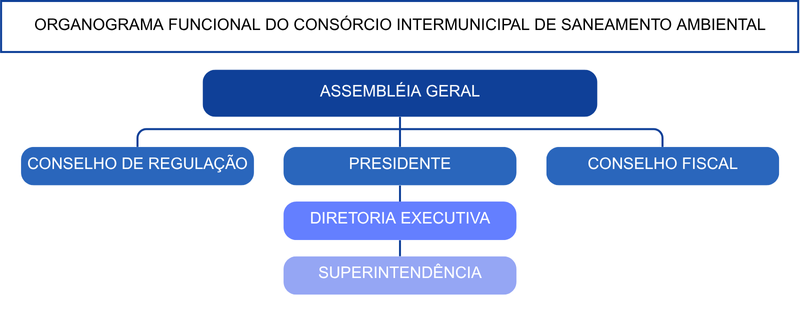 Organograma Funcionall