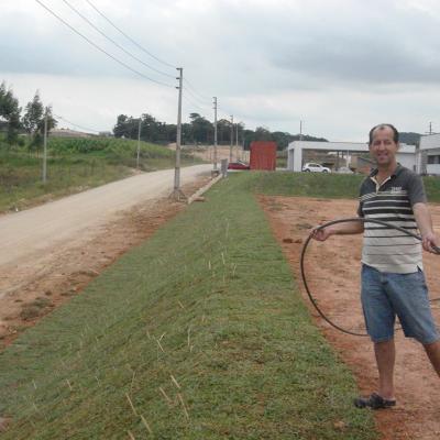 Plantio de Grama